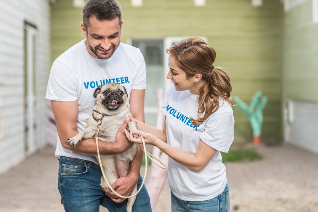 Animal-Shelter-Volunteers