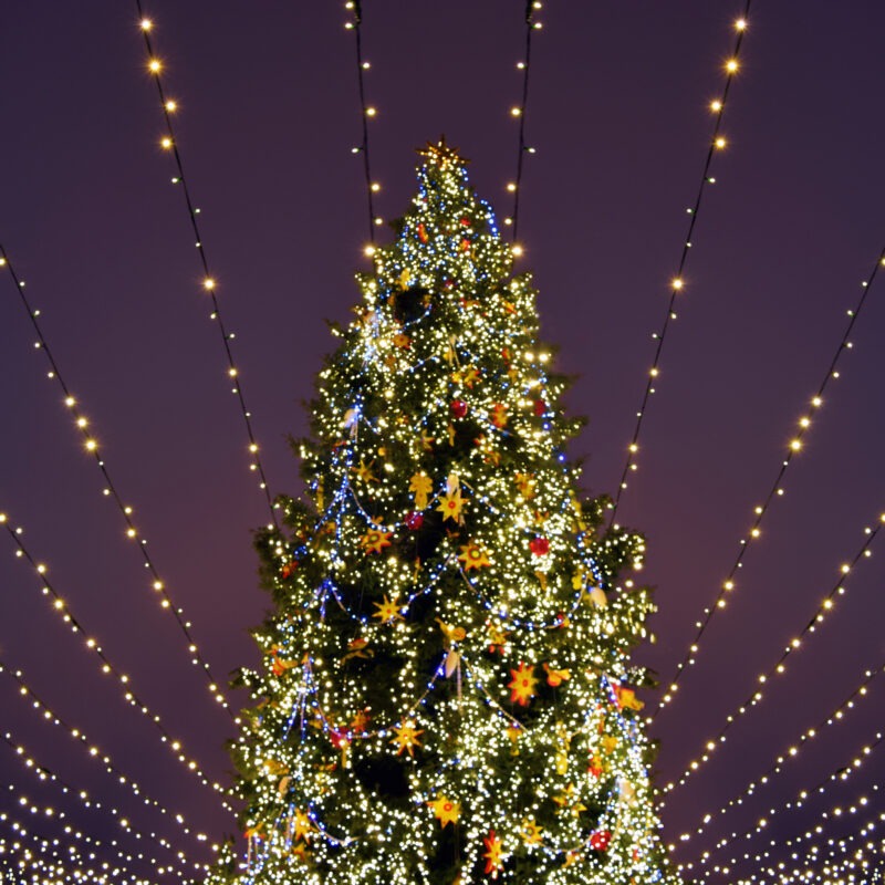 Christmas Tree Lighting Culver City Upper Ivy Apartments