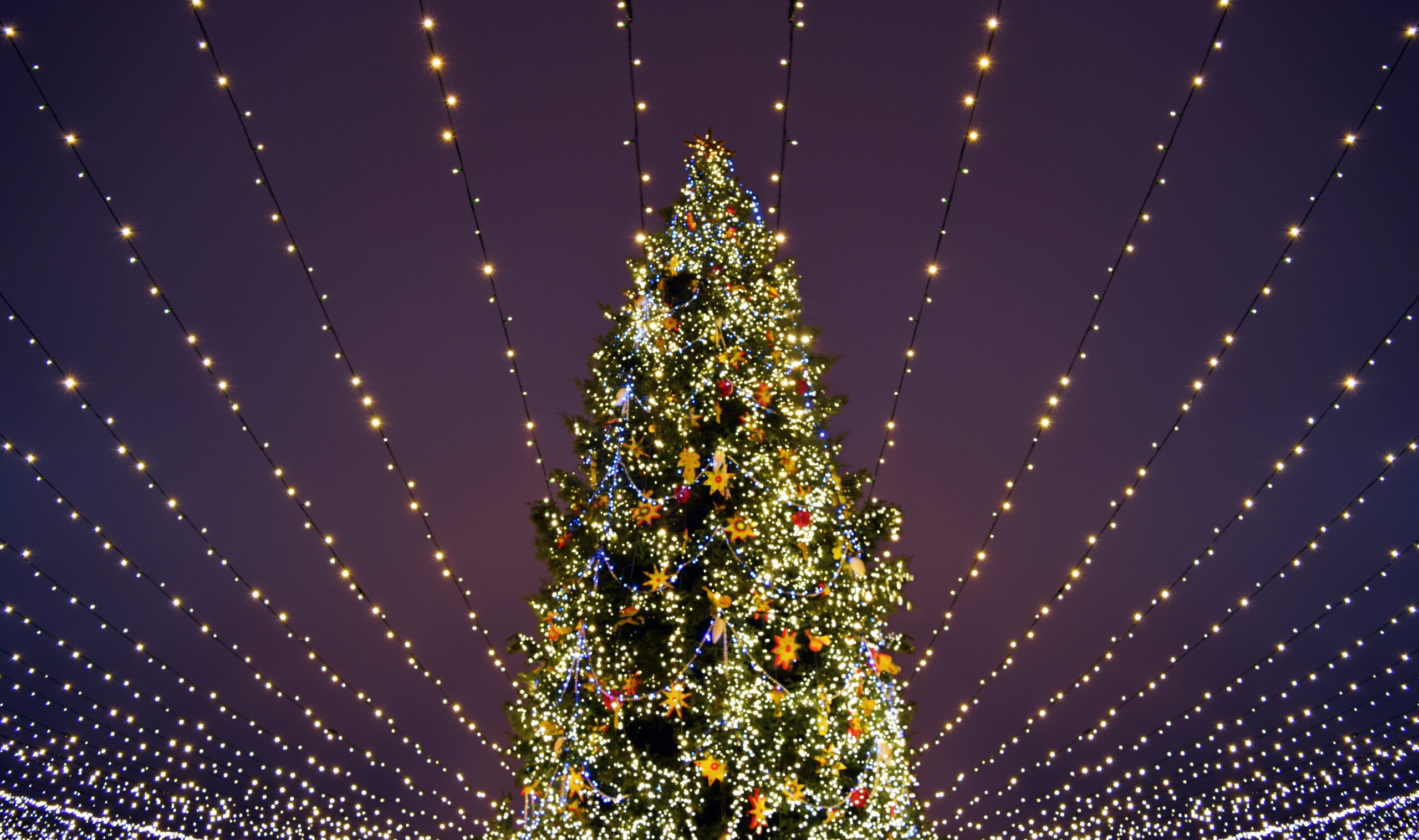 The Culver City Christmas Tree Lighting